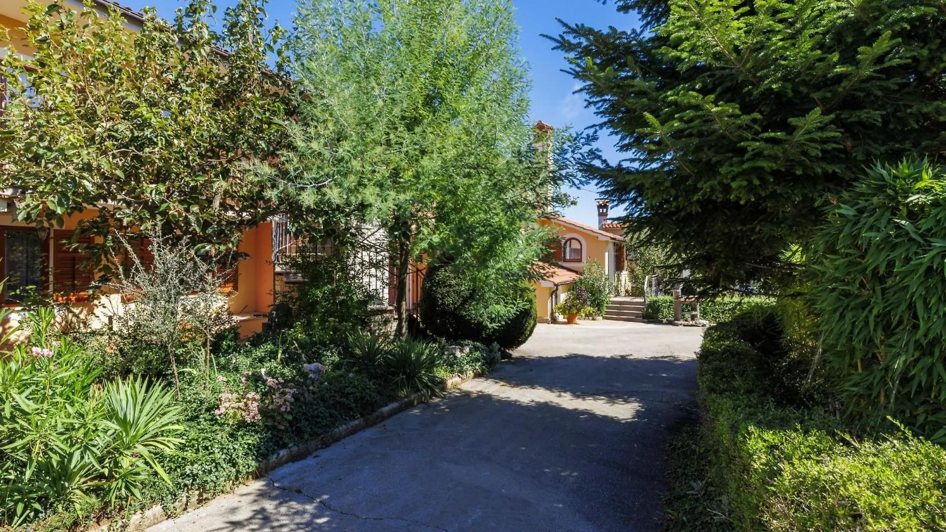 Holiday Home Edi - Roj433 By Interhome Zminj