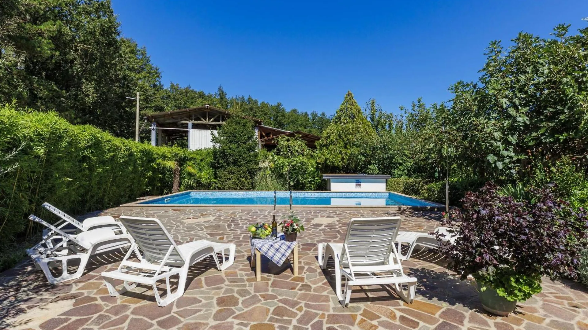 Holiday Home Edi - Roj433 By Interhome Zminj